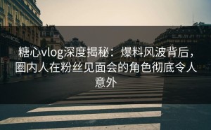 糖心vlog深度揭秘：爆料风波背后，圈内人在粉丝见面会的角色彻底令人意外