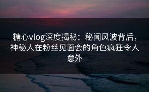 糖心vlog深度揭秘：秘闻风波背后，神秘人在粉丝见面会的角色疯狂令人意外