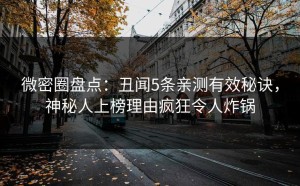 微密圈盘点：丑闻5条亲测有效秘诀，神秘人上榜理由疯狂令人炸锅