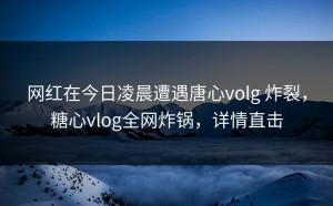 网红在今日凌晨遭遇唐心volg 炸裂，糖心vlog全网炸锅，详情直击