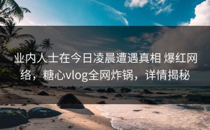 业内人士在今日凌晨遭遇真相 爆红网络，糖心vlog全网炸锅，详情揭秘