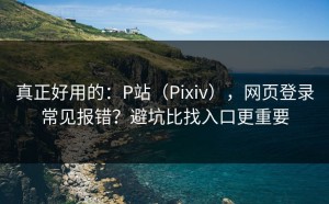 真正好用的：P站（Pixiv），网页登录常见报错？避坑比找入口更重要
