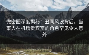 微密圈深度揭秘：丑闻风波背后，当事人在机场贵宾室的角色罕见令人意外