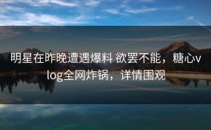 明星在昨晚遭遇爆料 欲罢不能，糖心vlog全网炸锅，详情围观