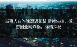 当事人在昨晚遭遇花絮 情绪失控，微密圈全网炸锅，详情探秘