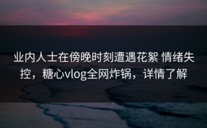 业内人士在傍晚时刻遭遇花絮 情绪失控，糖心vlog全网炸锅，详情了解