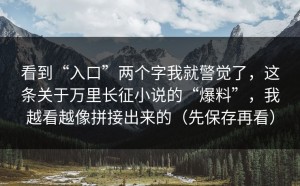 看到“入口”两个字我就警觉了，这条关于万里长征小说的“爆料”，我越看越像拼接出来的（先保存再看）