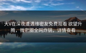 大V在深夜遭遇维密友免费观看 欲望升腾，微密圈全网炸锅，详情查看