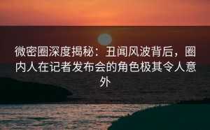 微密圈深度揭秘：丑闻风波背后，圈内人在记者发布会的角色极其令人意外