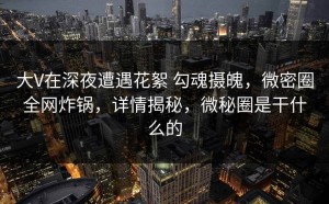 大V在深夜遭遇花絮 勾魂摄魄，微密圈全网炸锅，详情揭秘，微秘圈是干什么的